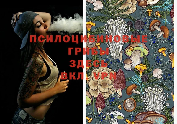 ешки Кодинск