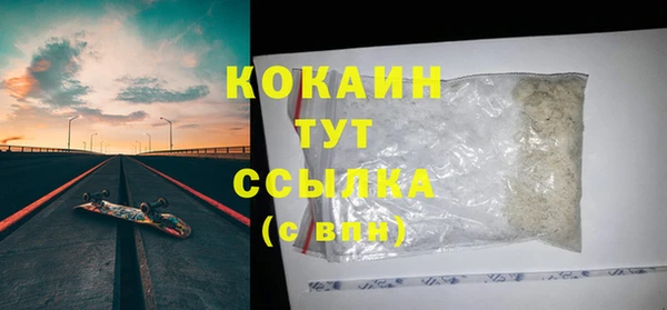 мдпв Козельск