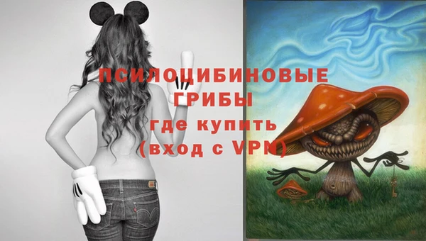 мдпв Козельск